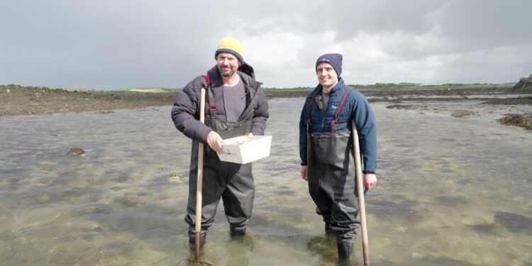 Colin Fassnidge collecting oysters in Galway for Better Homes and Gardens