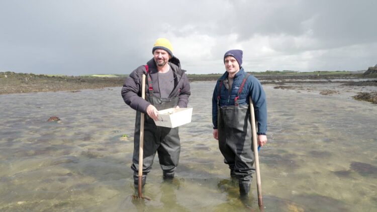 Colin Fassnidge collecting oysters in Galway for Better Homes and Gardens