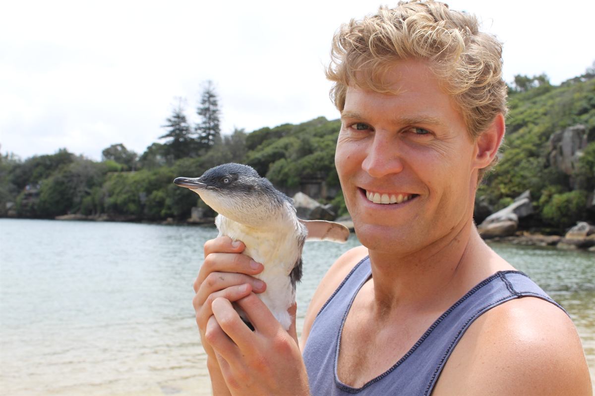A Bondi Vet presenter holds a little penguin