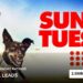 The Block publicity image for Sunday 13 September 2026 TV ratings.
