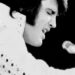 Elvis, The Colonel and the Mob on SBS