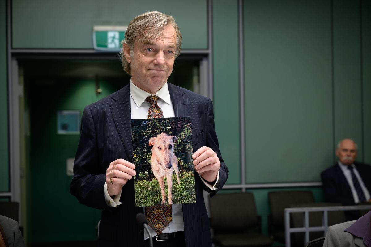 Hugo Weaving as barrister Alan Armstrong in The Great White