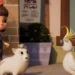 Flower, Flour and Cockatoo in the animated series