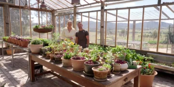 Johanna and Troy Rhoades-Brown in Troy's greenhouse on Better Homes and Gardens