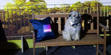 Colin the dog on a BINGE event set