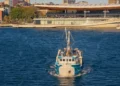Fishing boat approaching the Sydney Fish Market waterfront