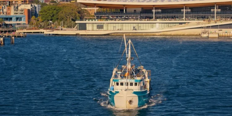 Fishing boat approaching the Sydney Fish Market waterfront