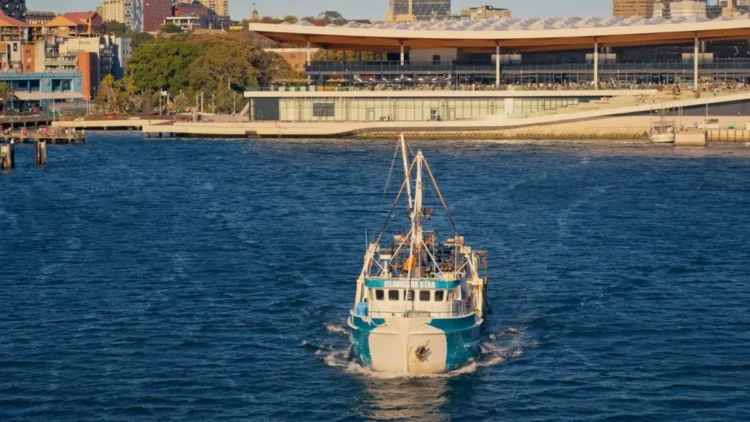 Fishing boat approaching the Sydney Fish Market waterfront