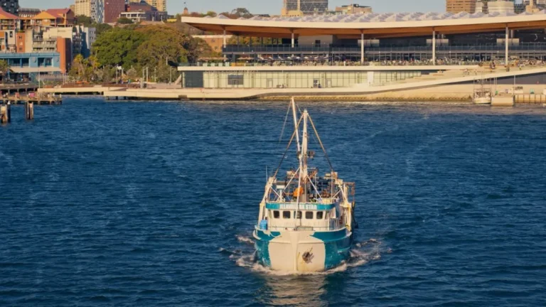 Fishing boat approaching the Sydney Fish Market waterfront