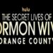 Cast key art for The Secret Lives of Mormon Wives: Orange County