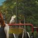 Anna Samson as Mackenzie Clarke beside a red vehicle and cockatoo in Return to Paradise season three