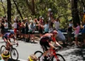 Cyclists riding past spectators at the Santos Tour Down Under