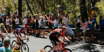 Cyclists riding past spectators at the Santos Tour Down Under