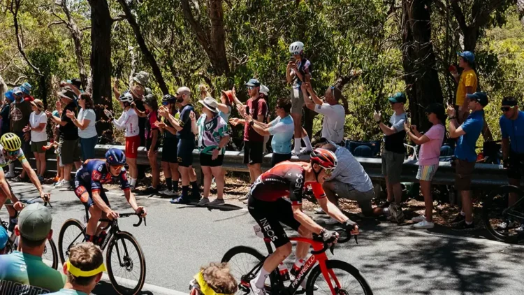 Cyclists riding past spectators at the Santos Tour Down Under