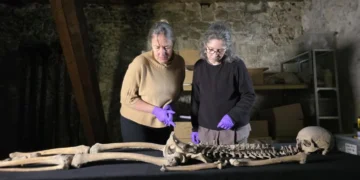 Two researchers examine an ancient skeleton laid out on a table
