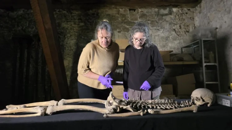 Two researchers examine an ancient skeleton laid out on a table