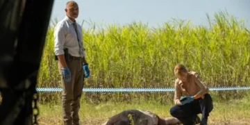 Dustfall on ABC: Tig faces two cases and a link to Davo programme image