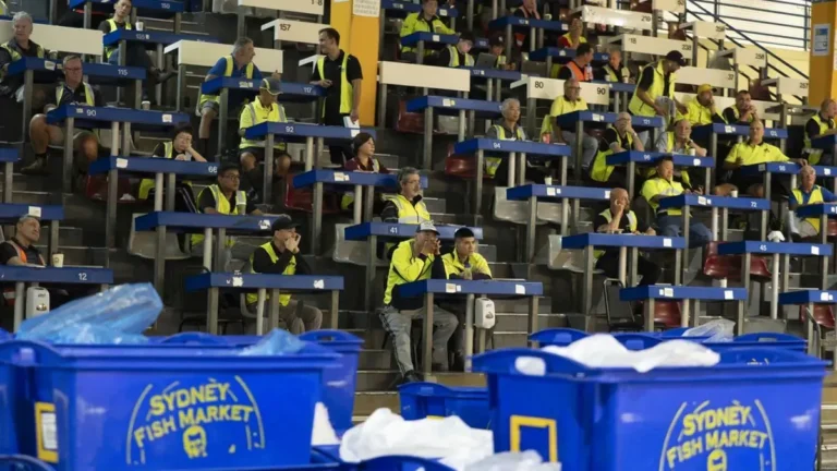 Inside Sydney Fish Market on SBS: the old market faces one last Christmas programme image